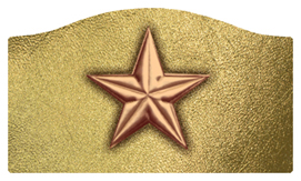 DASHELL-430-CP-GD Star Copper-Gold